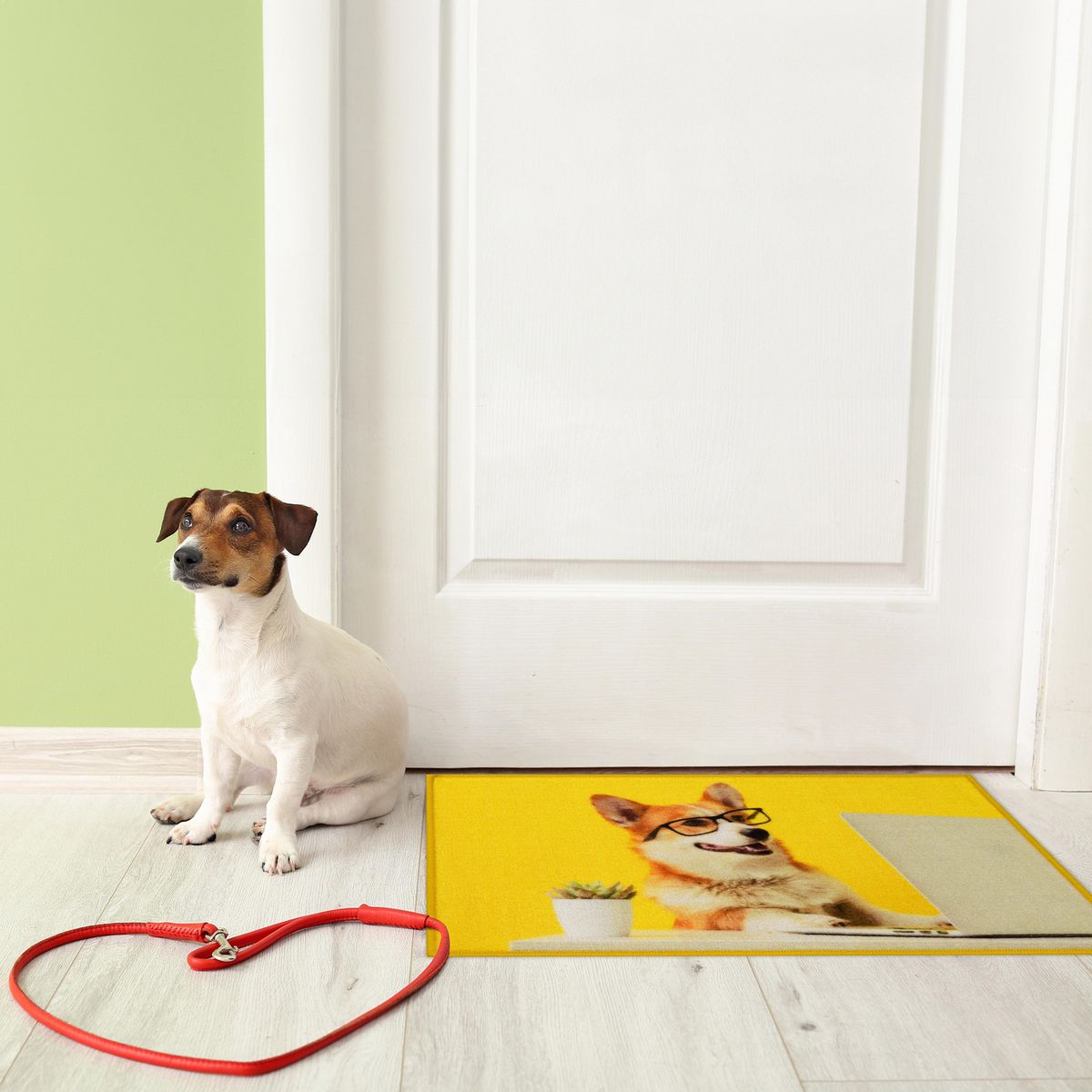 CASA BONITA - Limpiapiés Dog glass 50x80 cm Multicolor