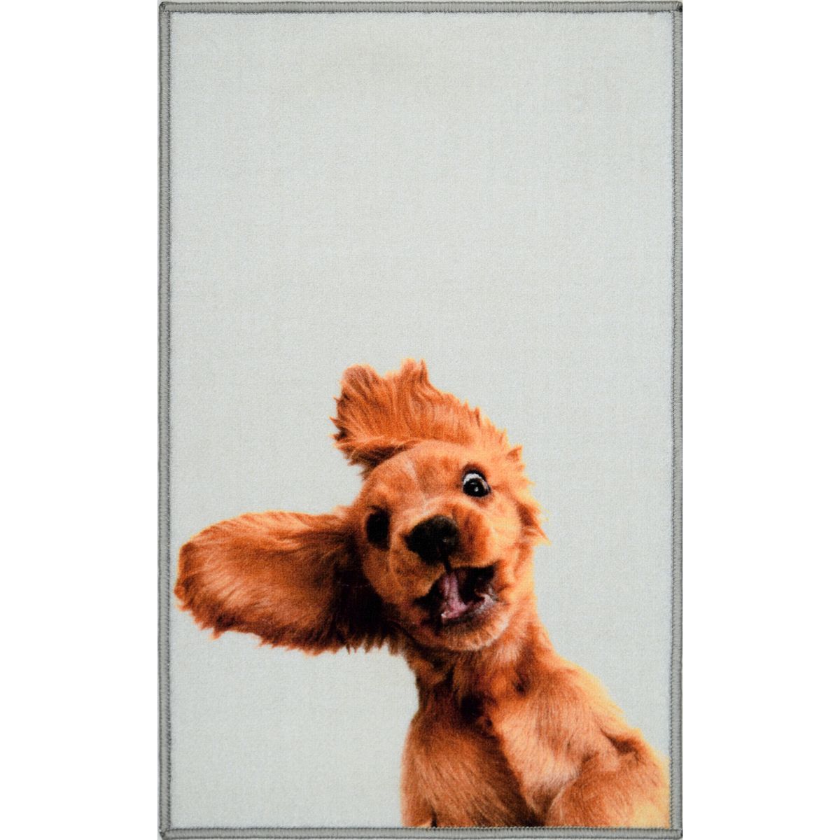 CASA BONITA - Limpiapiés Dog sorpresa 50x80 cm Multicolor