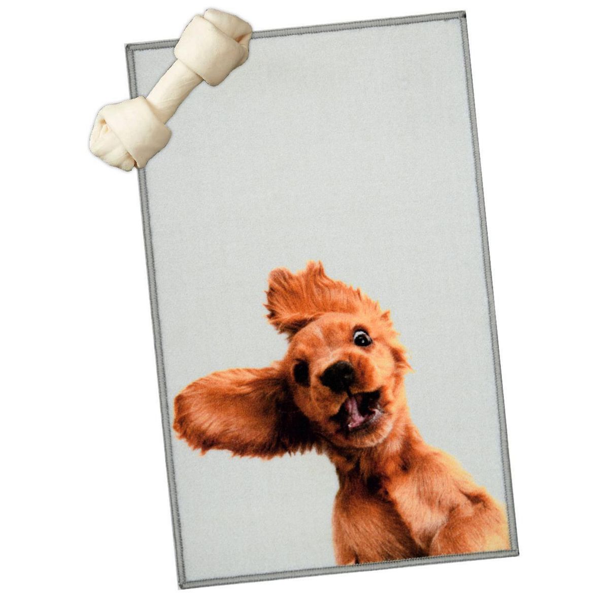 CASA BONITA - Limpiapiés Dog sorpresa 50x80 cm Multicolor