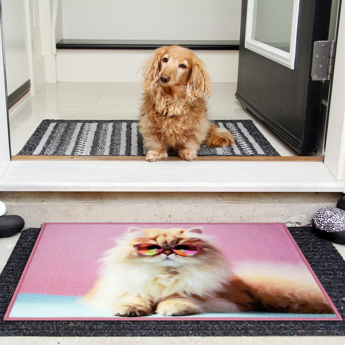 CASA BONITA - Limpiapiés Gato glass 50x80 cm Multicolor