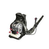 Soplador combustión espalda 49 cc