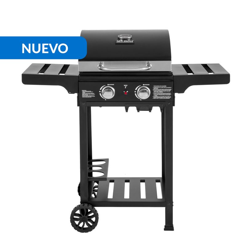 MR BEEF - Parrilla a gas H22NJ21S10 2 Quemadores