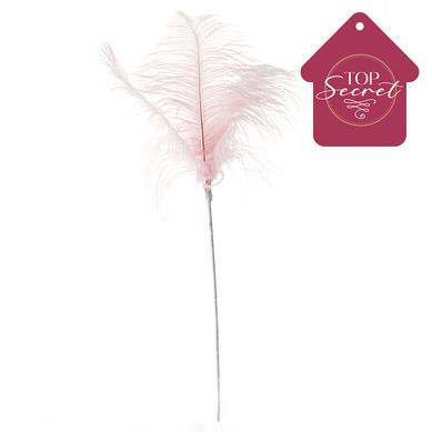 Rama pluma rosada 58 cm