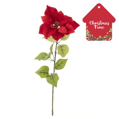 Rama poinsettia 52 cm burdeo