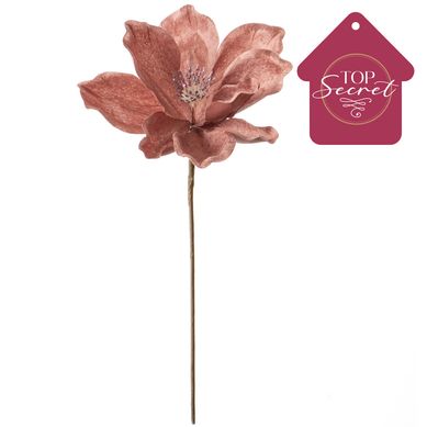 Rama magnolia 38 cm