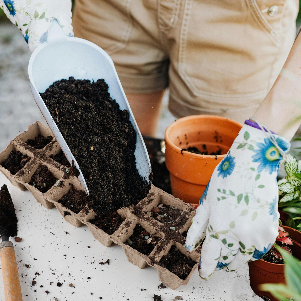ERGO - Bandeja cultivo 12 cavidades 4x4 cm