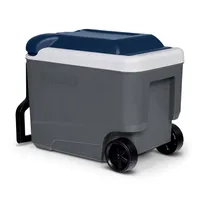 Cooler con Ruedas 40 l Gris Claro