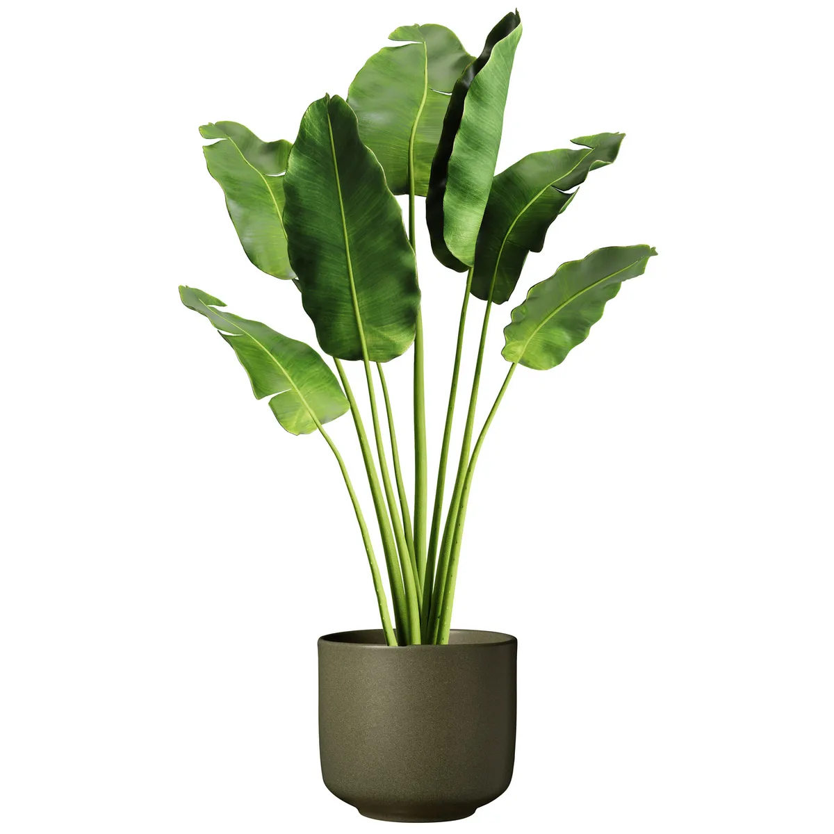 SK - Maceta Bari 13 cm verde