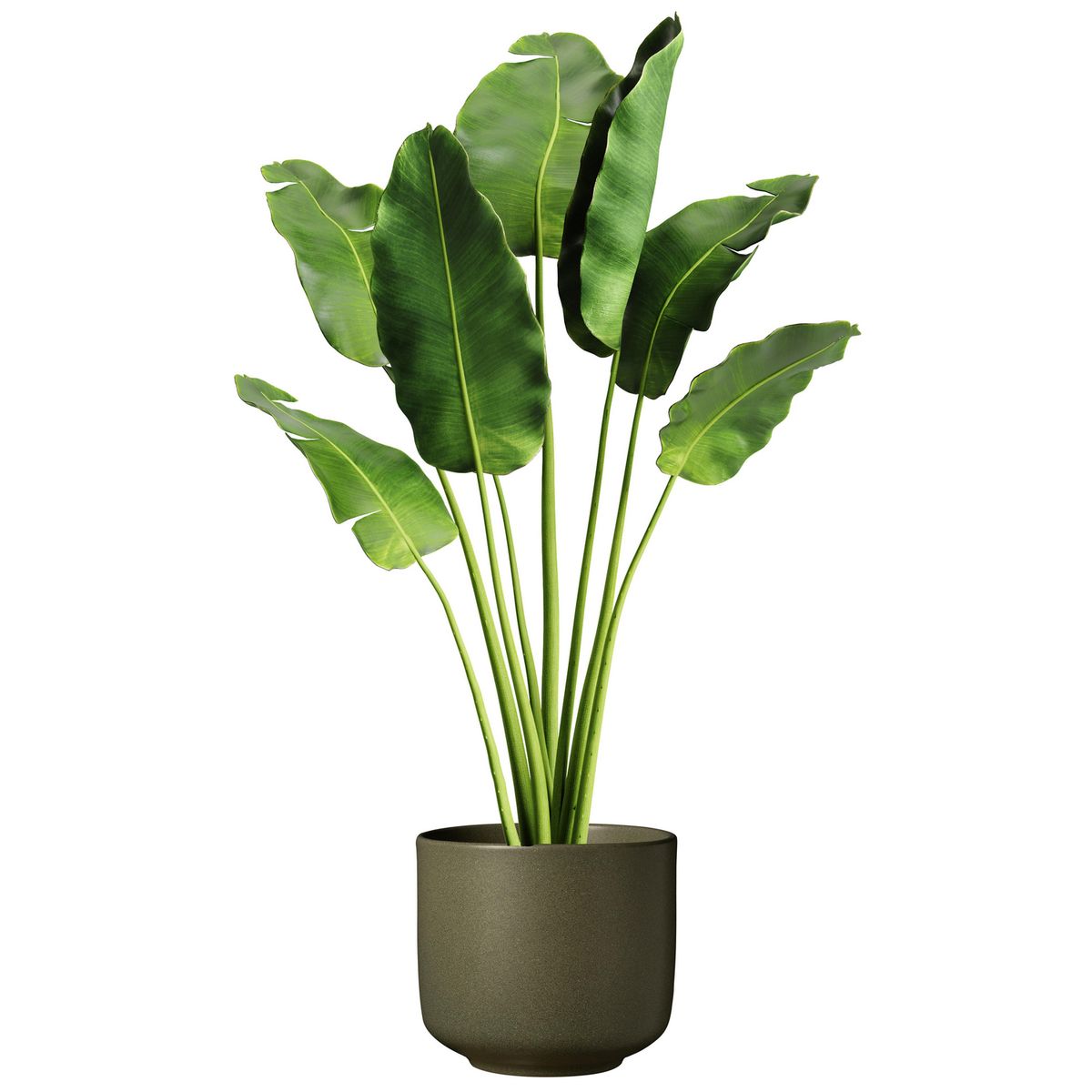 SK - Macetero Bari de Cerámica 19x18 cm Verde