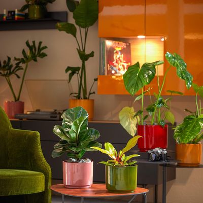 Imagen 2 del producto Macetero Oslo de Cerámica 19x19 cm Rosa