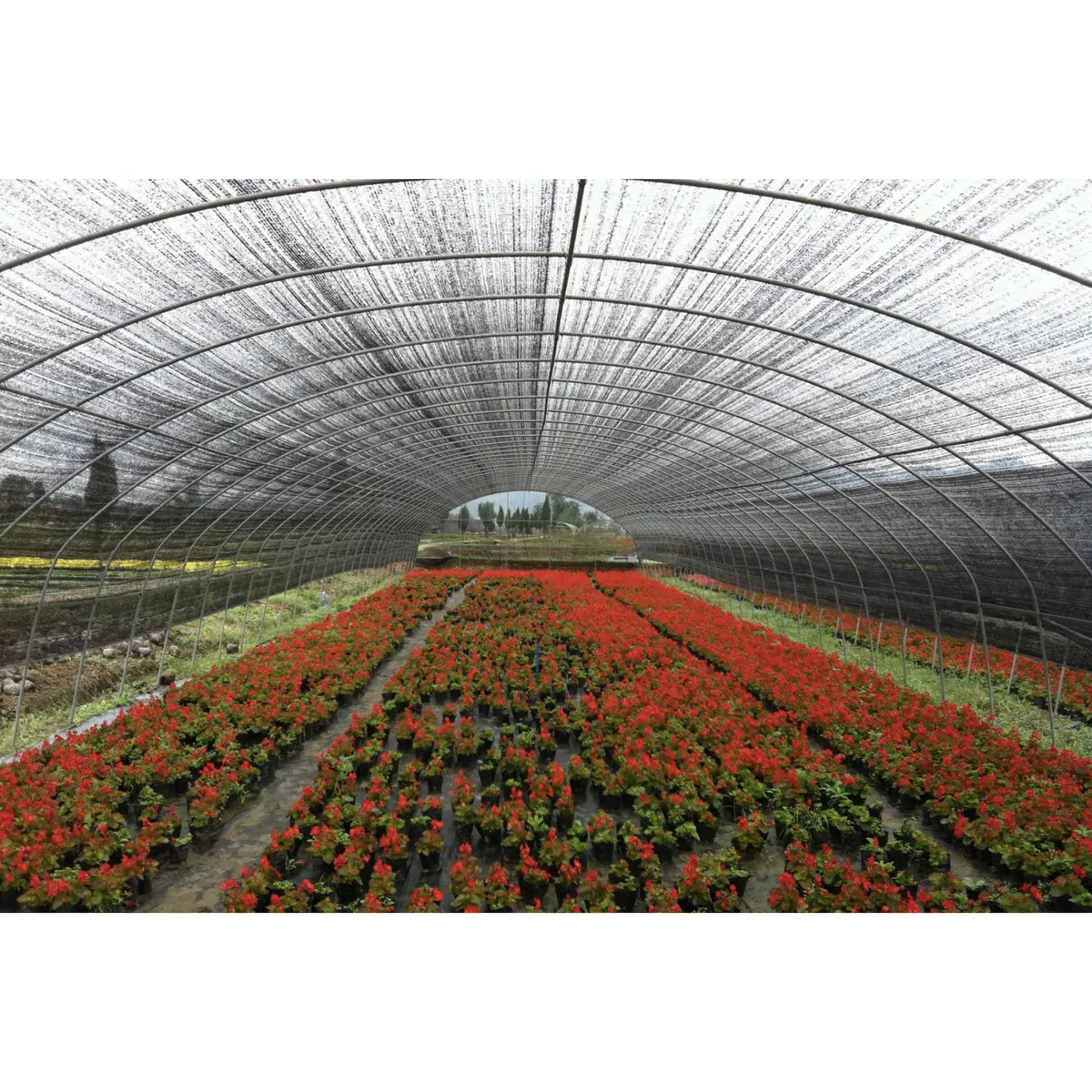 TOPEX - Malla Raschel 80% 2,1x5 m Negra