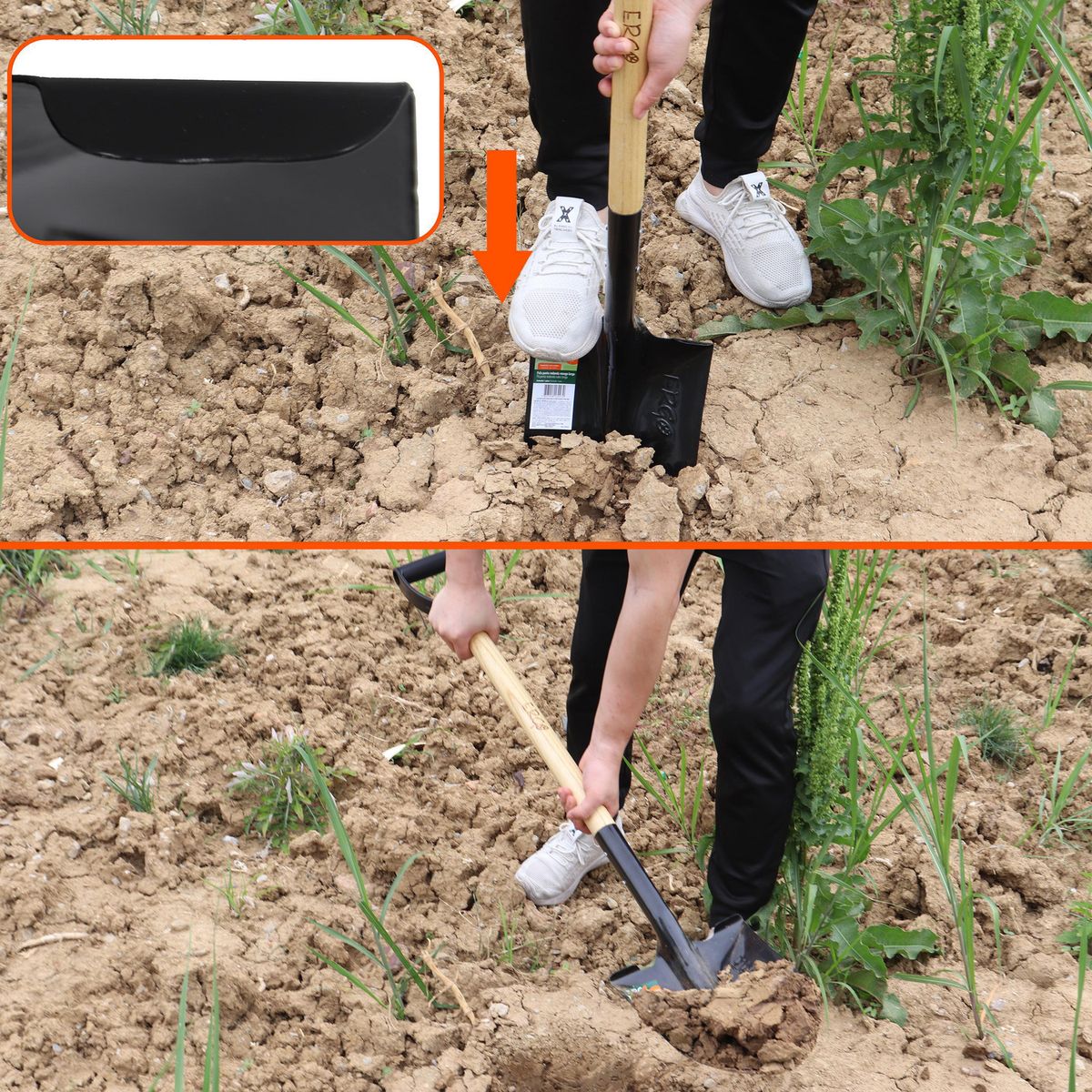 ERGO - Pala con Mango Largo Punta huevo Acero