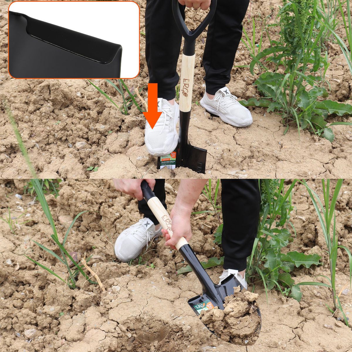 ERGO - Pala con Mango Corto Punta huevo Acero