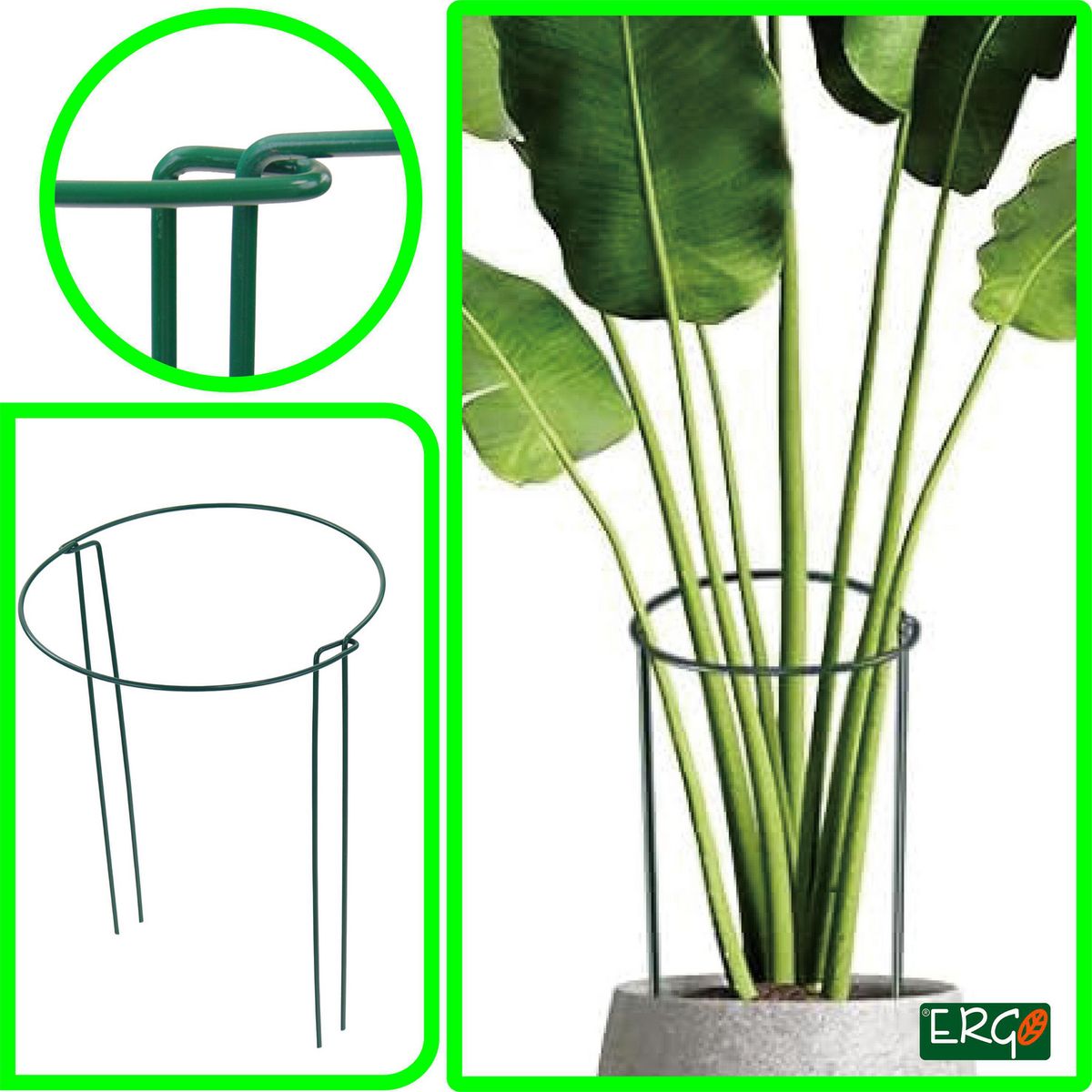 ERGO - Set de 4 estacas soporte plantas