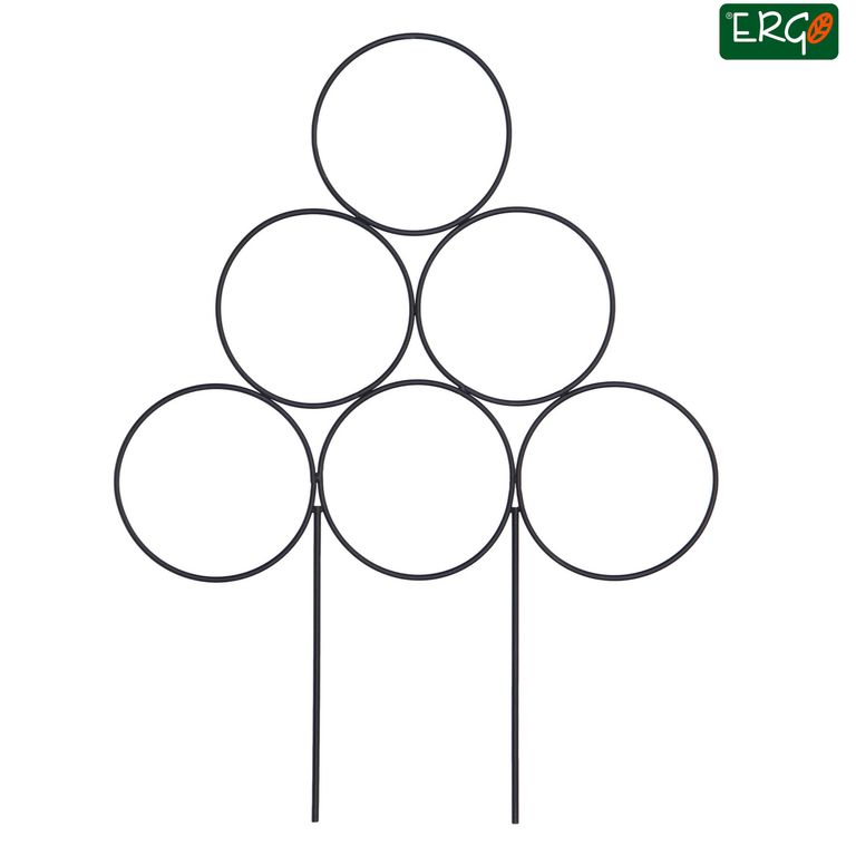 Guia soporte para enredadera 39 cm