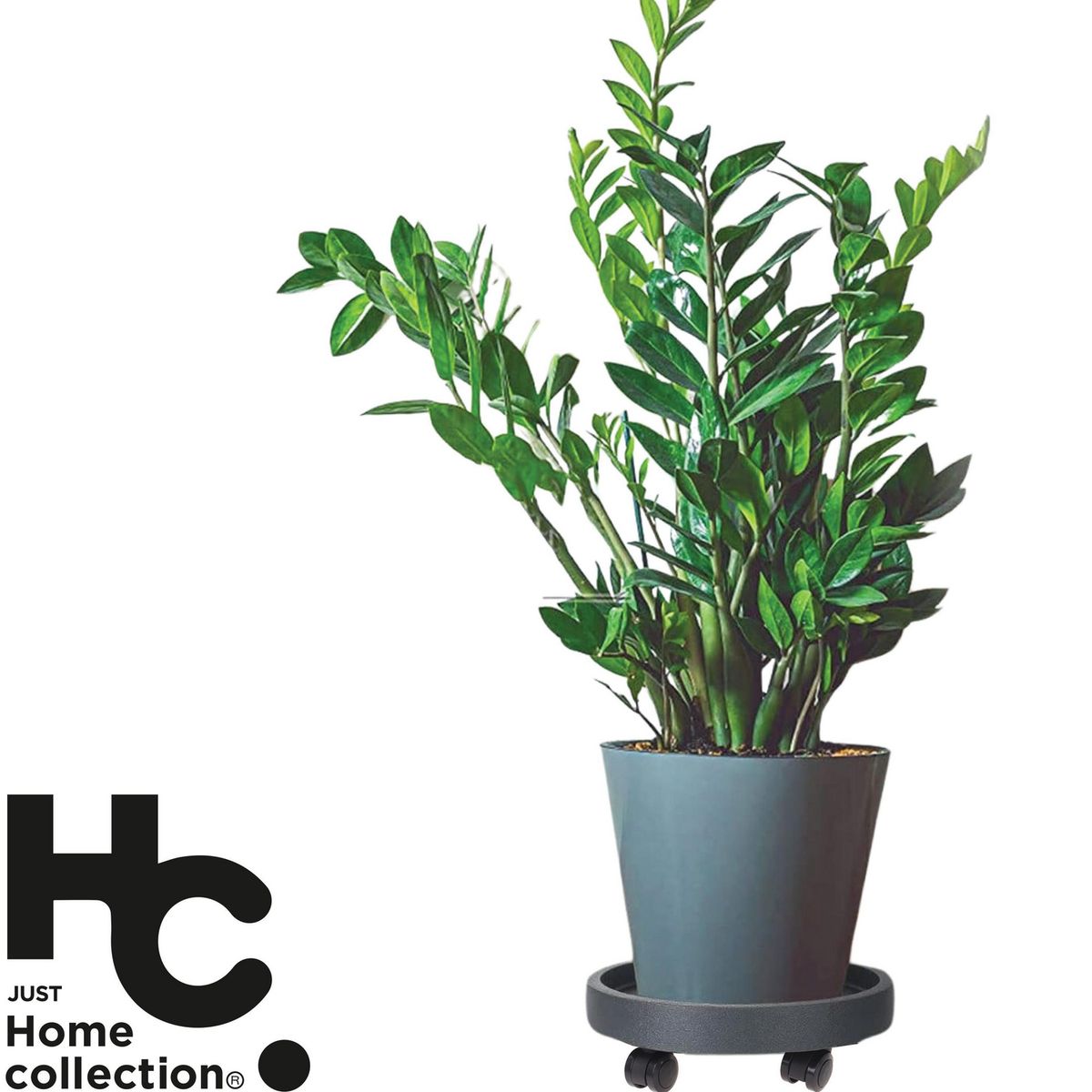 JUST HOME COLLECTION - Portamacetero con ruedas 40cm, color gris