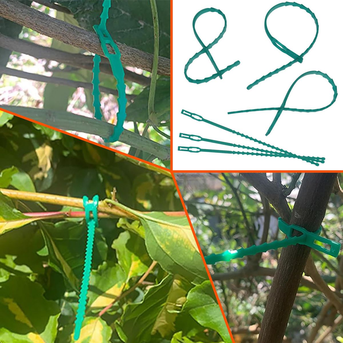 ERGO - Set de 20 amarra plantas