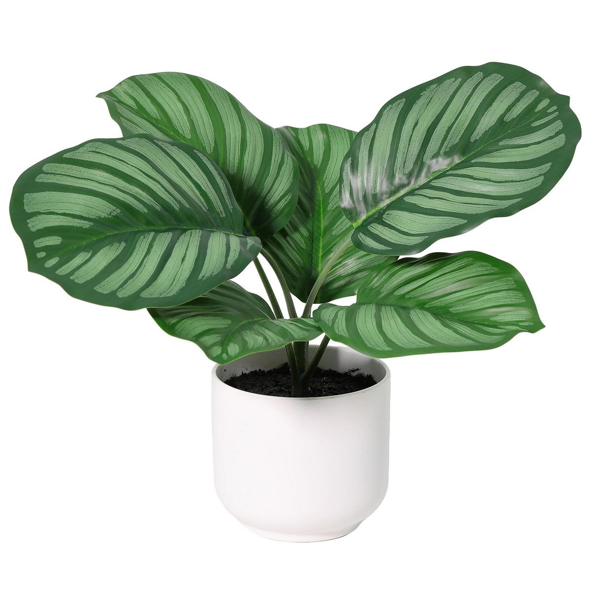 JUST HOME COLLECTION - Planta Artificial Calathea 21 cm Verde