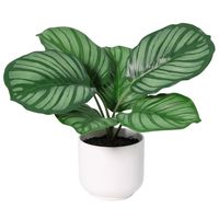Planta Artificial Calathea 21 cm Verde