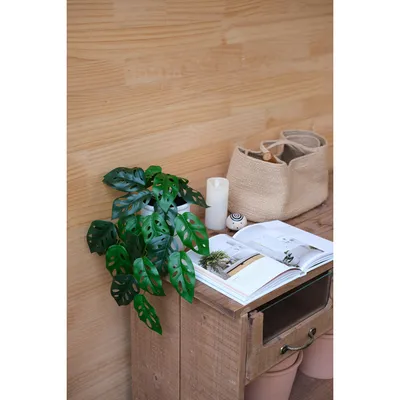 Imagen 2 del producto Planta Artificial Monstera 42 cm Verde