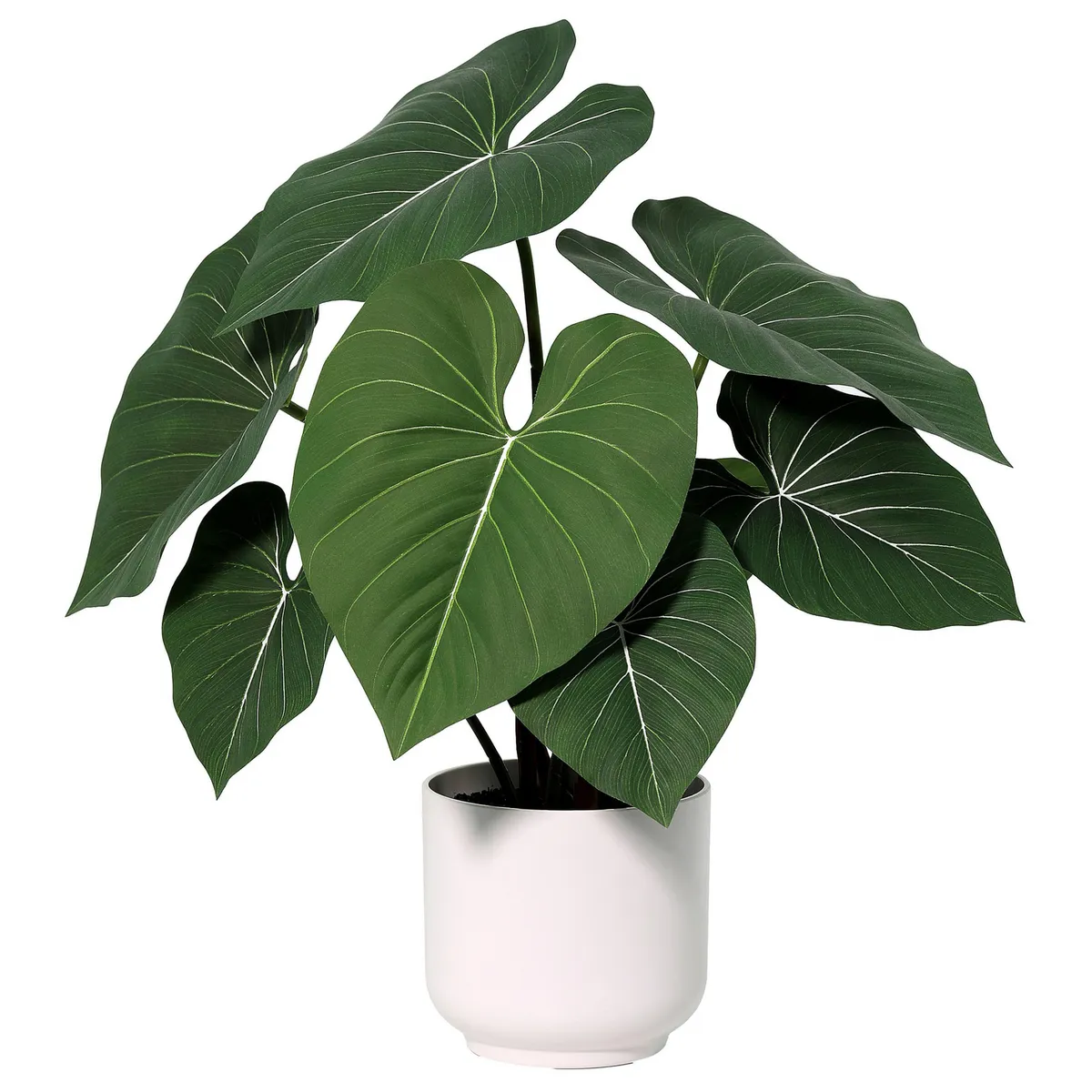 JUST HOME COLLECTION - Planta Artificial 53 cm Verde