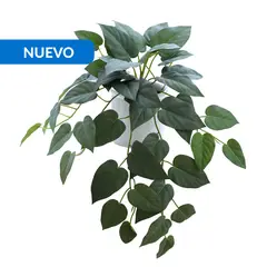 JUST HOME COLLECTION - Planta Artificial Alocasia 27 cm Verde