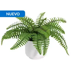 JUST HOME COLLECTION - Planta Artificial Palma 17 cm Verde