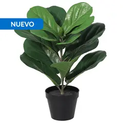JUST HOME COLLECTION - Planta Artificial Ficus Lyrata 40 cm Verde