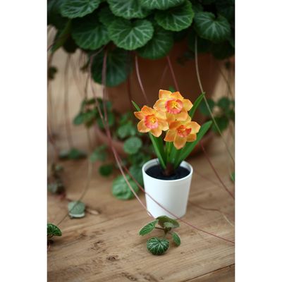 Imagen 2 del producto Set 3 Plantas Artificiales Mix de Flores 16 cm Colores Surtidos