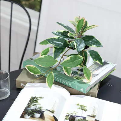 Imagen 2 del producto Planta Artificial Hoya 50 cm Verde