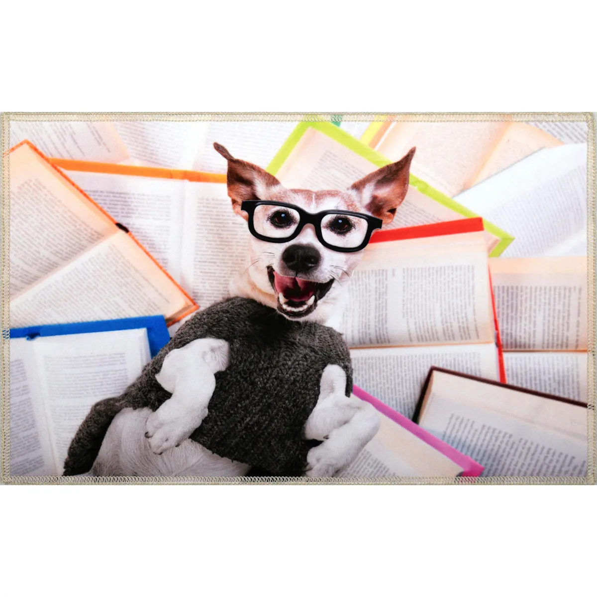 JUST HOME COLLECTION - Limpiapies Perro smart 50x80 cm Polipropileno Multicolor