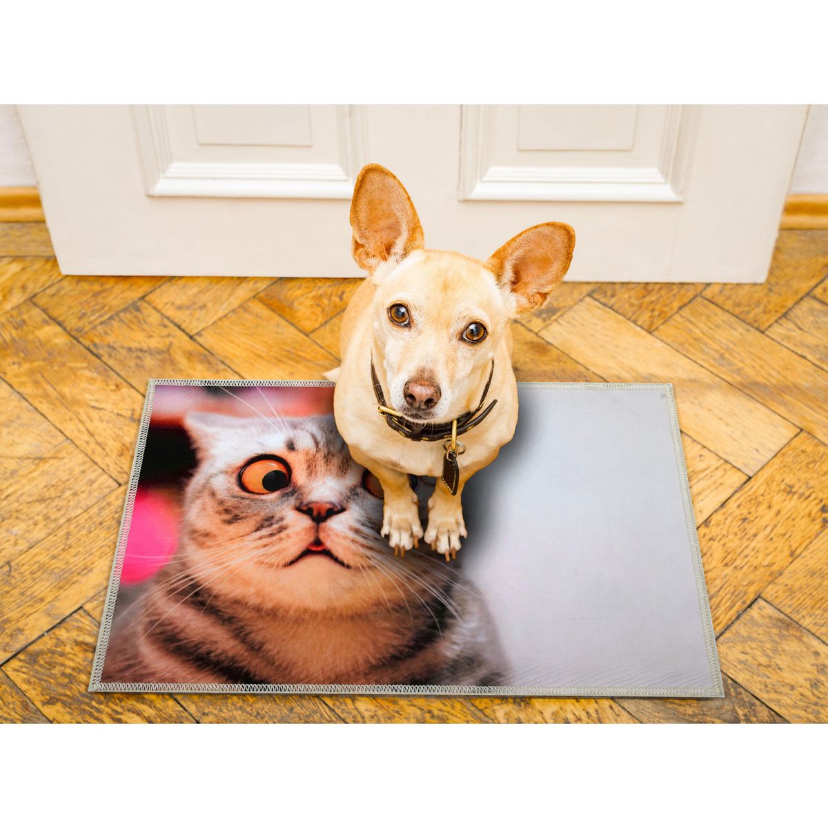 JUST HOME COLLECTION - Limpiapiés Gato sorpresa 50x80 cm Multicolor