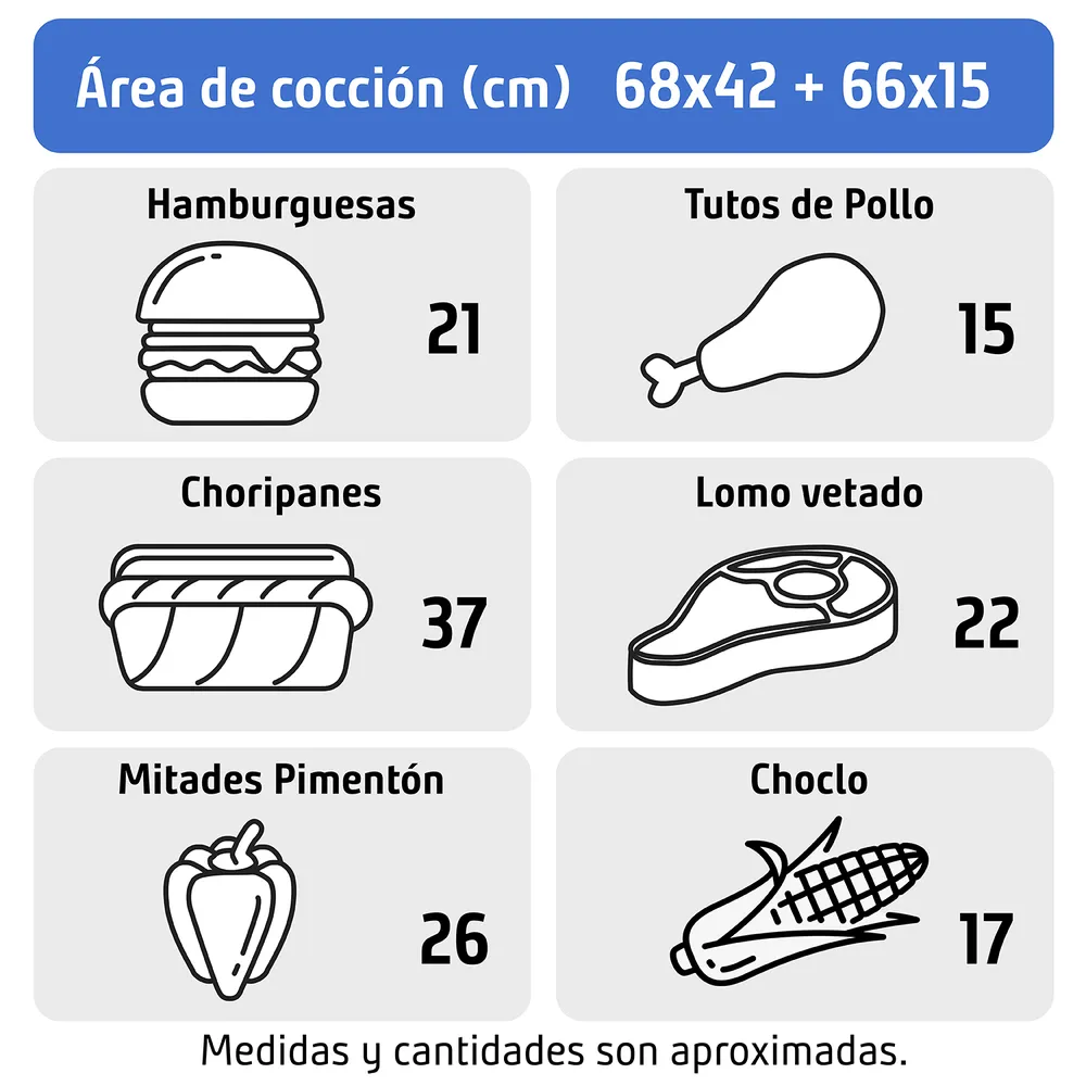 Mr Beef Pro Parrilla a Gas 4 Quemadores + Quemador Lateral, foto 2