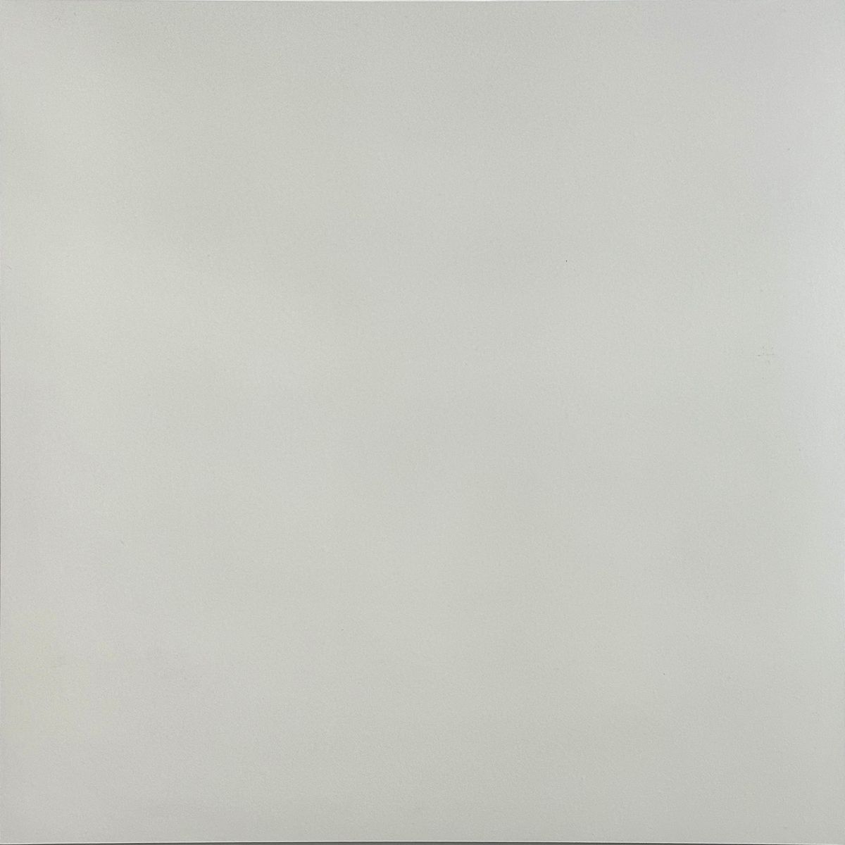 HOLZTEK - Gres 60x60 cm Milky Blanco 1.44 m2