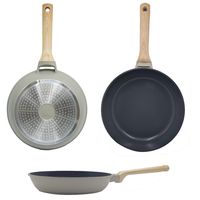 Sartén 24 cm Aluminio fundido Gris