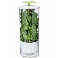 Conservador de hierbas vidrio