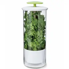 JUST HOME COLLECTION - Conservador de hierbas vidrio