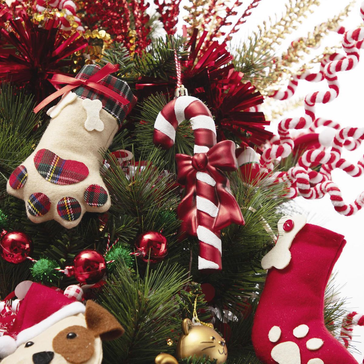 DEAR SANTA - Adorno navidad bastón 16 cm pet glam