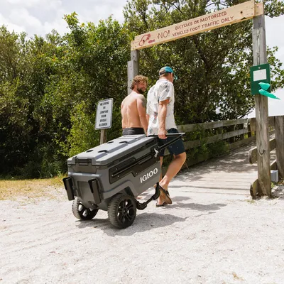 Imagen 2 del producto Cooler 66 l Negro