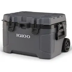 IGLOO - Nevera 49 l Gris oscuro