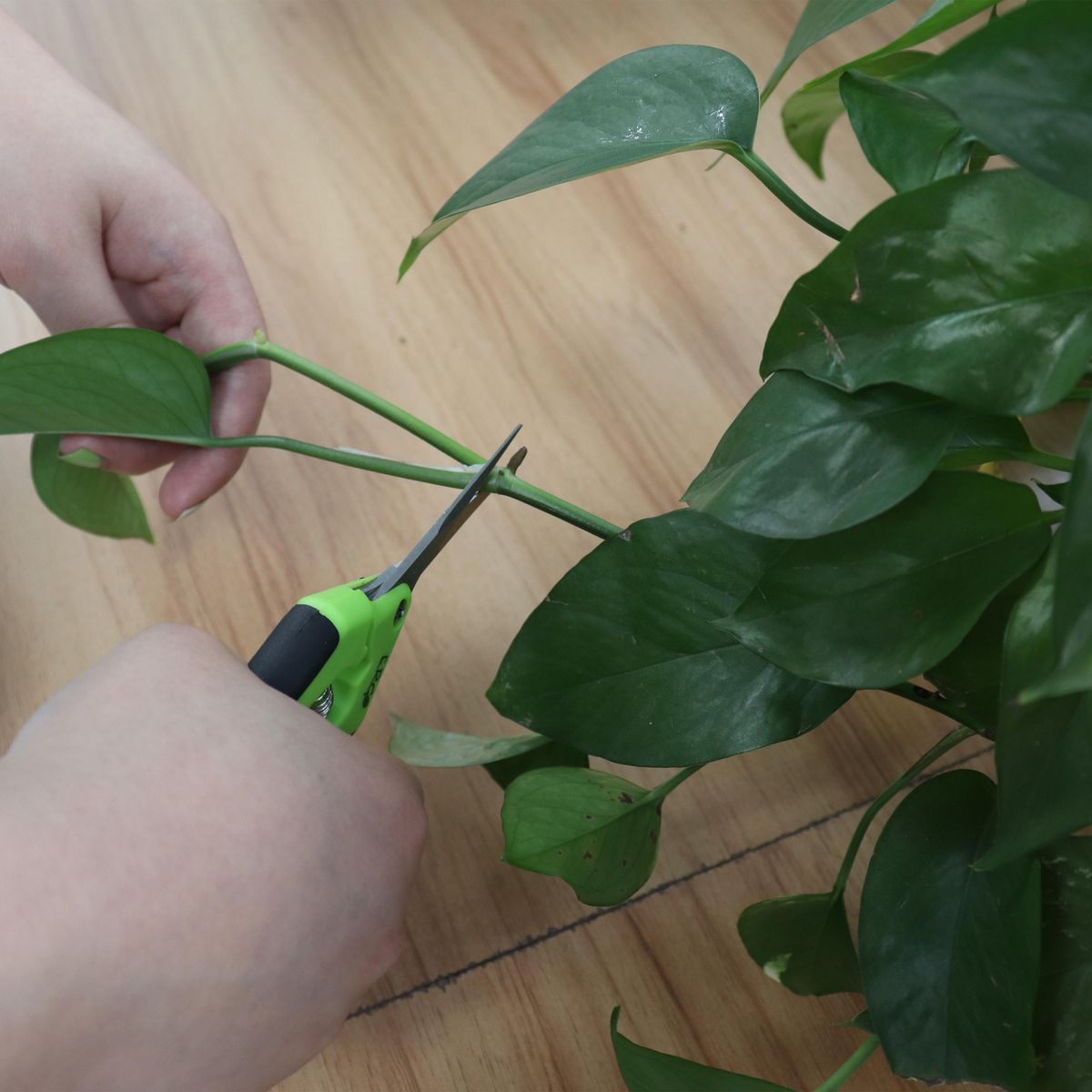 ERGO - Set 3 tijeras poda