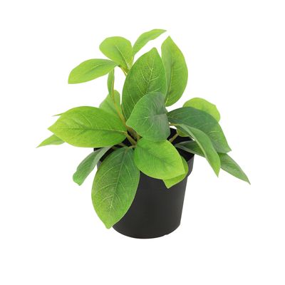 Imagen 2 del producto Planta Artificial 18 cm Verde