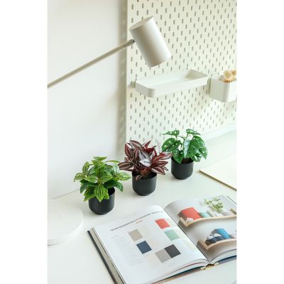 Imagen 2 del producto Planta Artificial 17 cm Verde