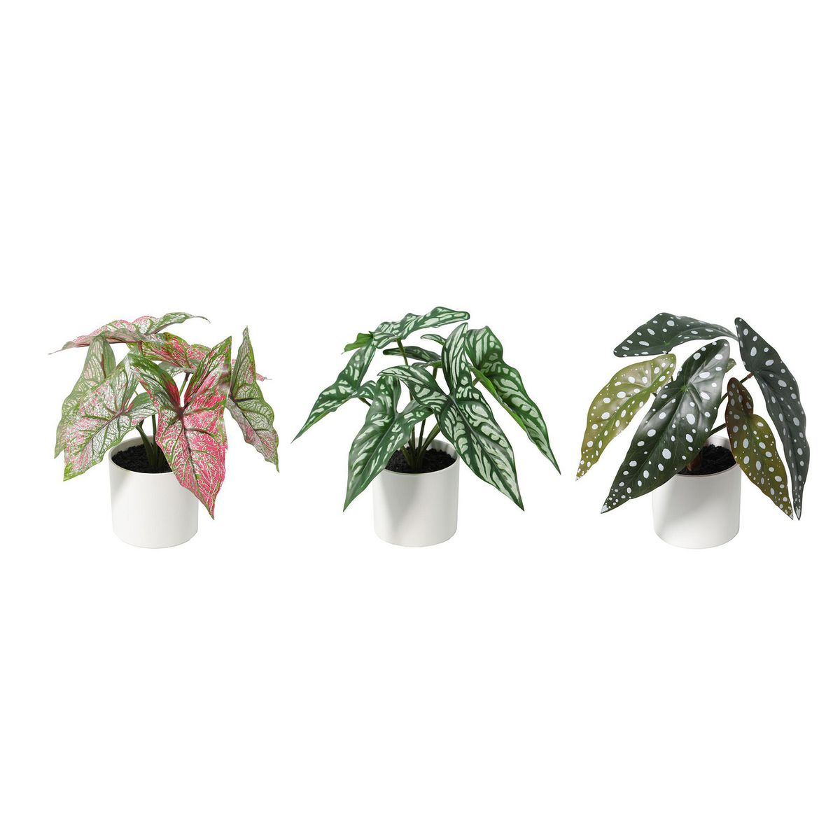 JUST HOME COLLECTION - Planta Artificial 25 cm Verde; Blamco