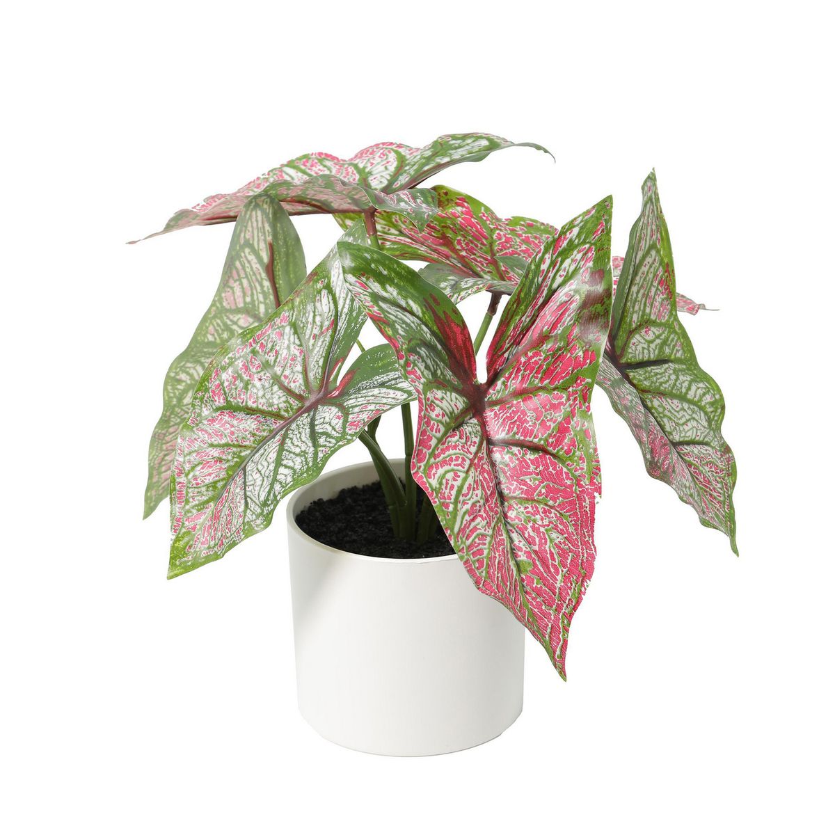 JUST HOME COLLECTION - Planta Artificial 25 cm Verde; Blamco