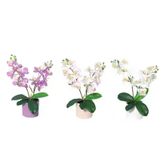 JUST HOME COLLECTION - Planta Artificial Orquídea 35 cm Rosado, Morado; Blanco; Verde