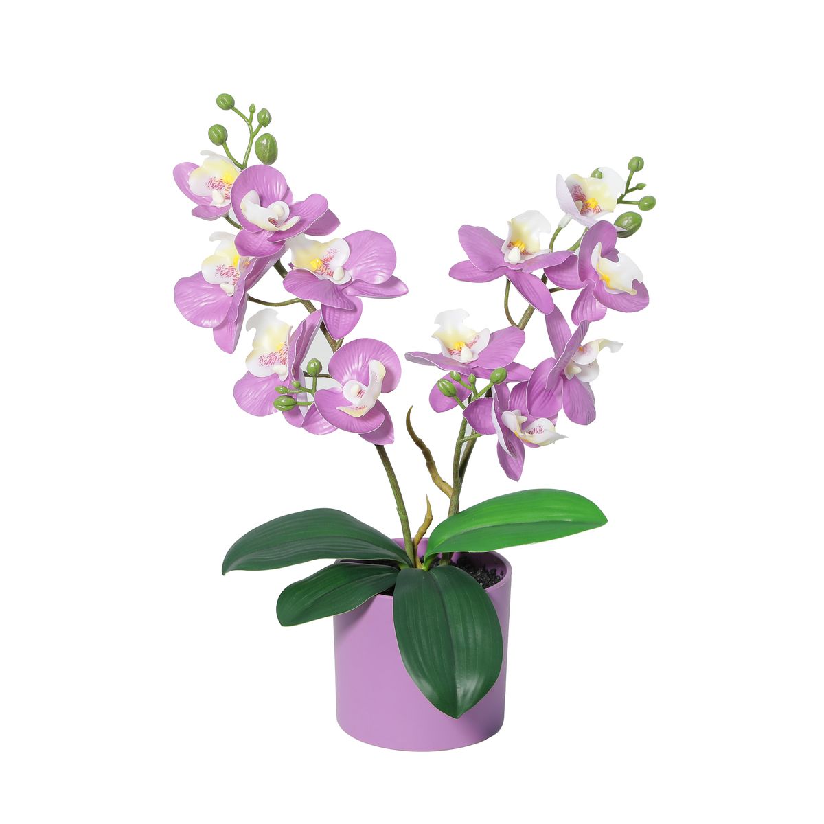 JUST HOME COLLECTION - Planta Artificial Orquídea 35 cm Rosado, Morado; Blanco; Verde