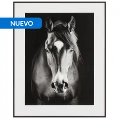 JUST HOME COLLECTION - Cuadro Caballo 40x50 cm