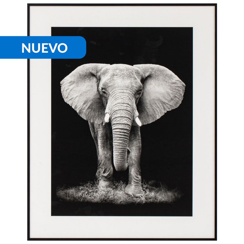 JUST HOME COLLECTION - Cuadro Elefante 40x50 cm