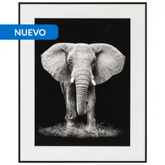 JUST HOME COLLECTION - Cuadro Elefante 40x50 cm